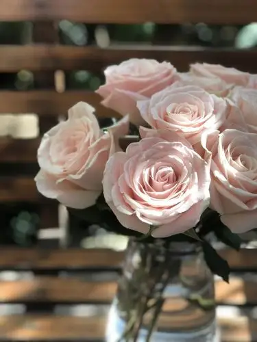 特惠3人团1099元3扎肯尼亚进口玫瑰单头随机品种全国包邮顺丰快递