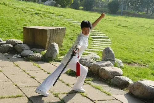 陈式四十九式太极剑晨练实录