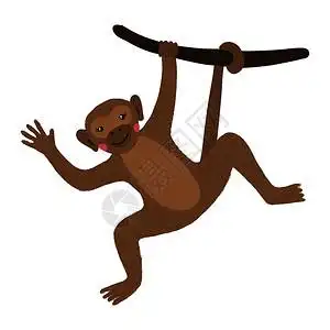 挂在白色背景的树上热带动物矢量说明可爱猴子挂在白色背景的树上插画
