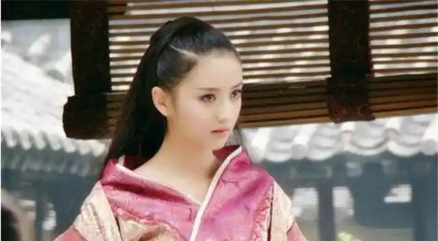 后来成人之后,由于长相出众,绝色貌美,被收入阳阿公主家中作为宫女