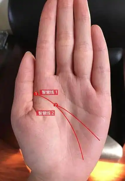 手相智慧线图解  1,智慧线末端伸小指下:表示其人常识丰富, - 抖音