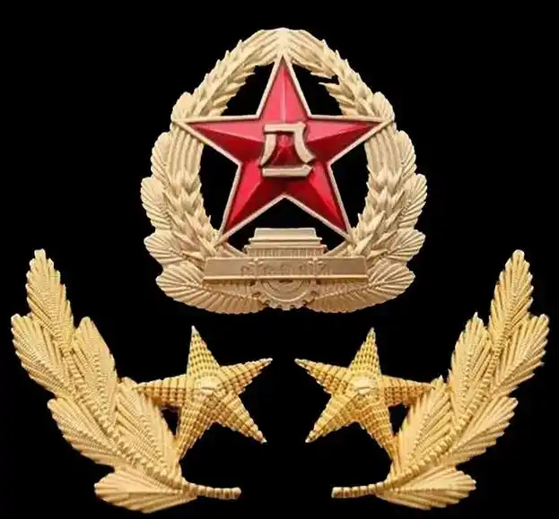 光荣的八一军徽,战斗的八一军徽,神圣的八一军徽,胜利的八一 - 抖音