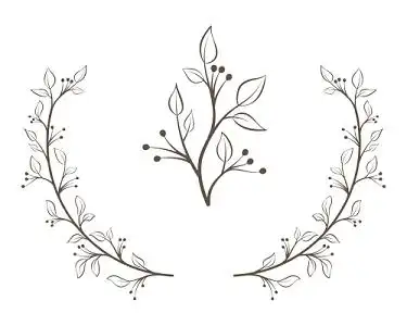 黑白剪影清新花藤藤蔓花边边框