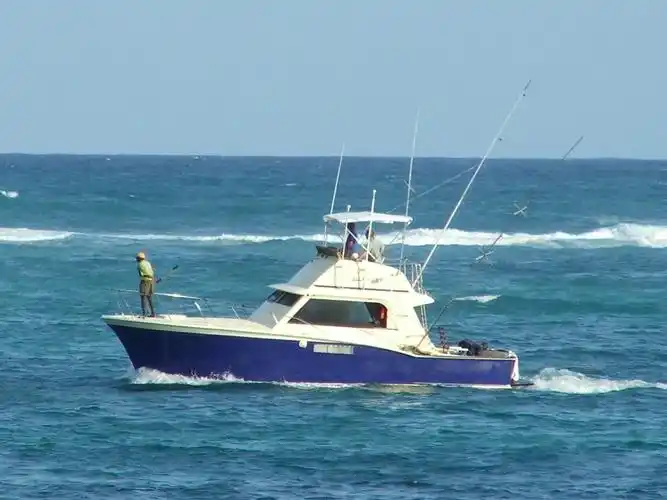 2011  new fishing boat