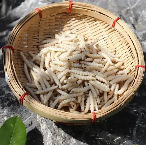 竹虫成虫昆虫油炸零食宠物天然深山野生象鼻特色干货及养生干料