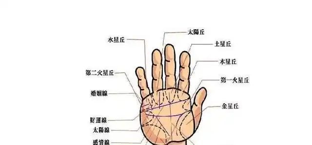 俗话断掌一条线富贵不相欠何意你身边有断掌纹的人吗