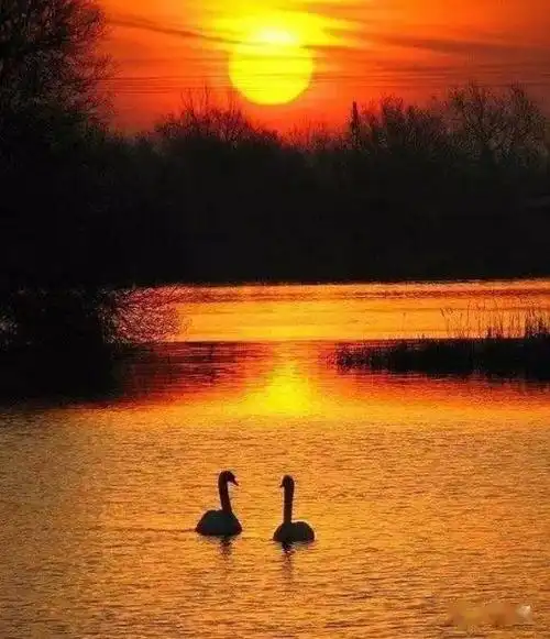 青山依旧在几度夕阳红美到骨子里说的真是太棒了道出了老年人的心声