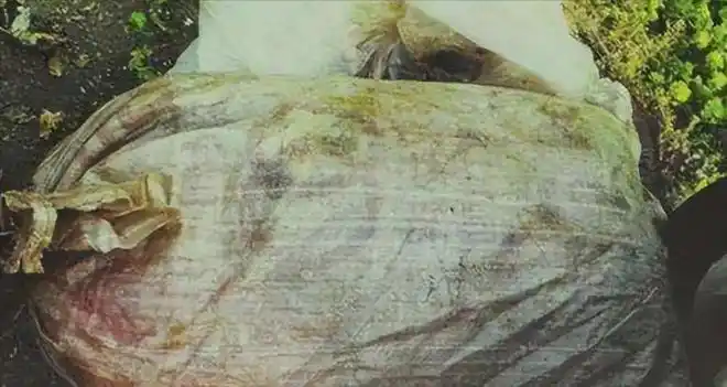 南大碎尸案令人发指如今追诉期已过为何还未侦破