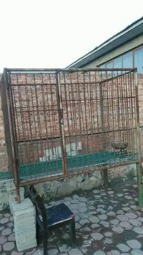 300拿走自己焊的狗笼