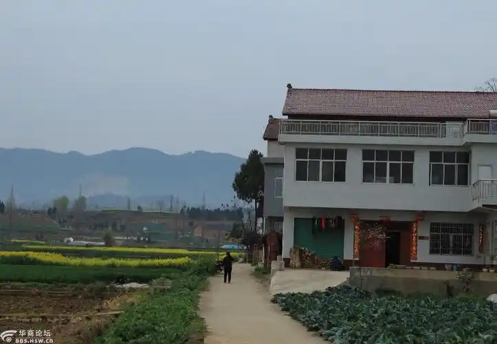 大美汉中,生态洋县马畅镇印象