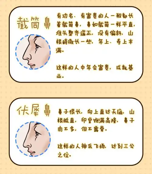 传说中的招财鼻,十个有九个有钱人的鼻子长这样!