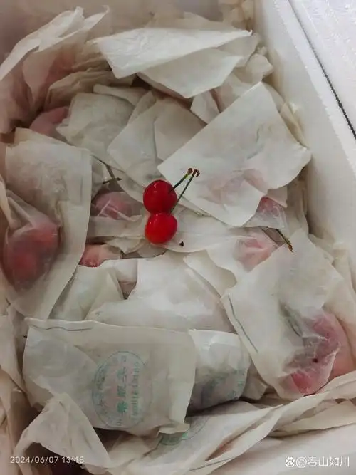 朋友送了一箱樱桃,第一次见这样的包装,拆完了后光纸袋就半箱子,不过