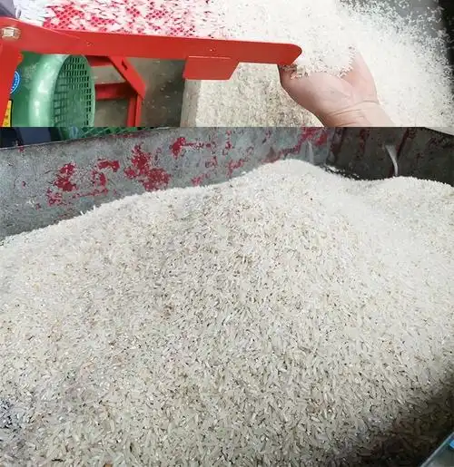 脱皮机碾米机多功能打米机家用小型水稻脱壳机小麦小米去皮剥壳机