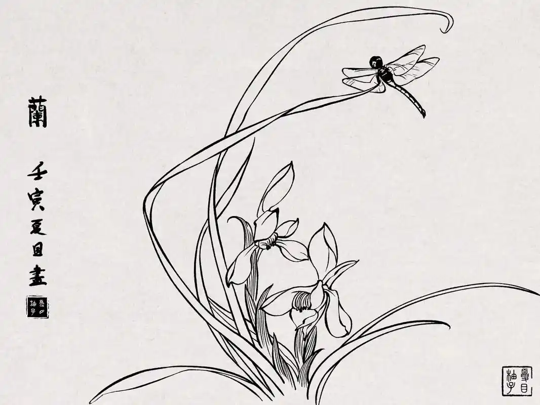 学习王道中大师的白描作品练习控笔和抓形