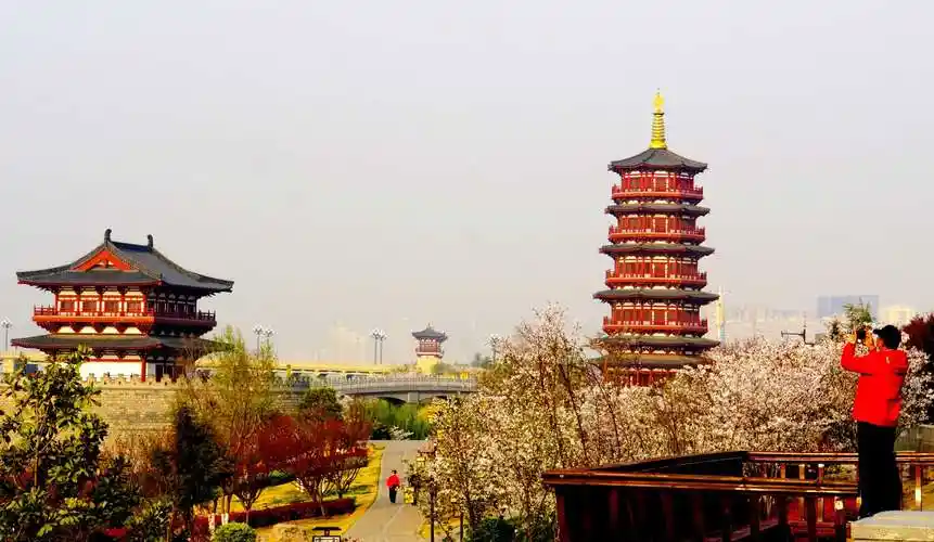 洛阳八小景之一"瀍壑朱樱"