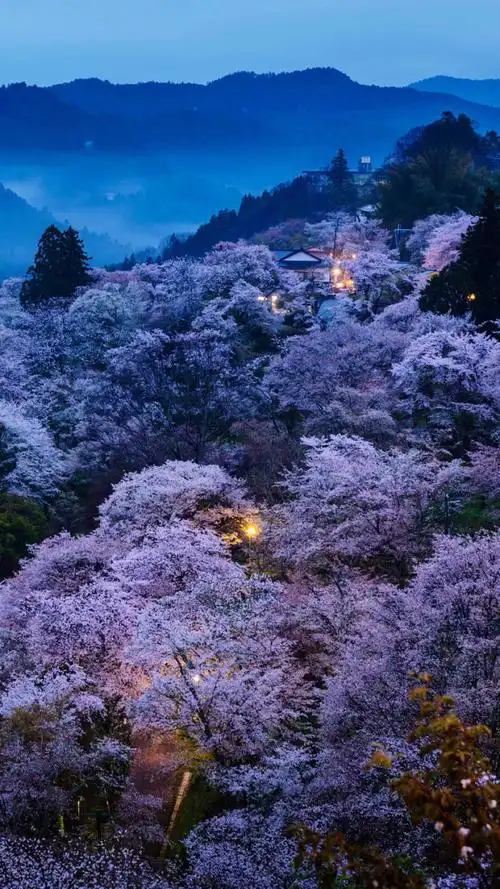 可爱- 堆糖,美图壁纸兴趣社区