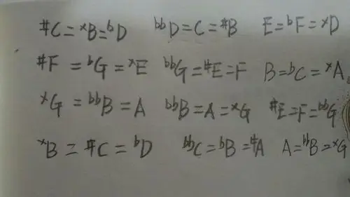 写出下列所有音的等音.