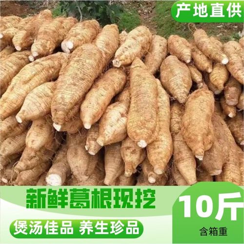 广西特产梧州 藤县和平粉葛 新鲜葛根葛薯 无渣煲汤佳品含箱10斤 4