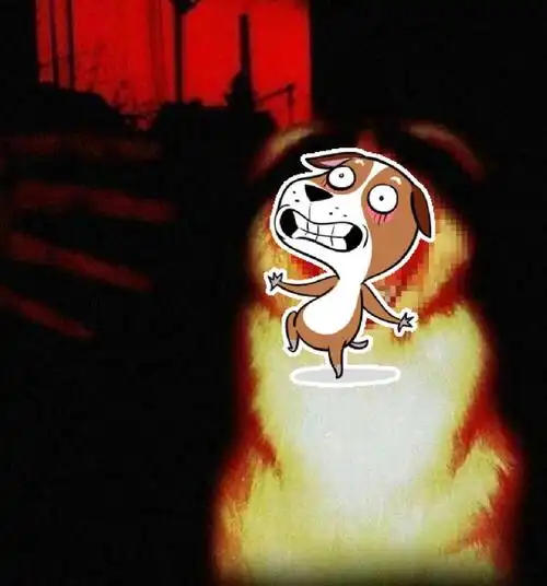 微笑狗为什么恐怖吓人?微笑狗事件是什么?