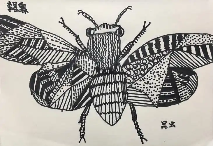 周六下午黑白创意班《昆虫》