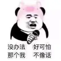 没办法 好可怕 那个我 不像话(熊猫头表情包)