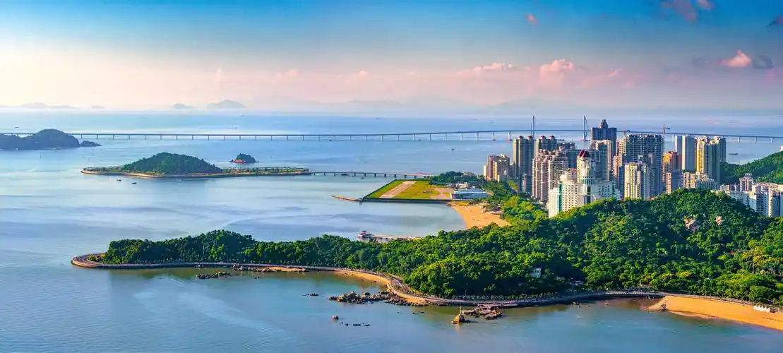 全国首个!珠三角国家森林城市群通过专家组验收