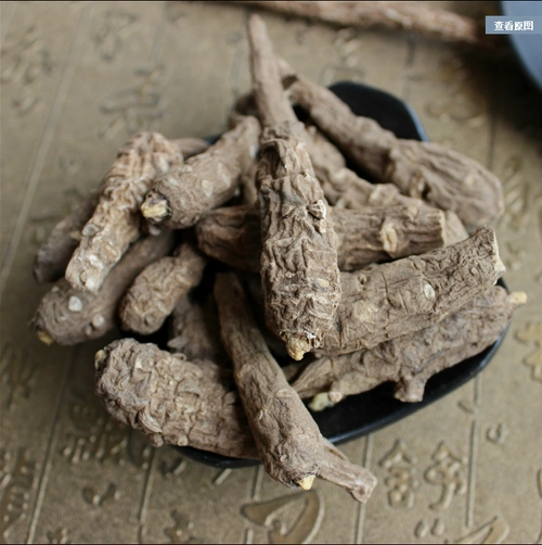 雪上一支蒿雪上一枝蒿铁棒槌铁牛七岩乌头野生产地四川省