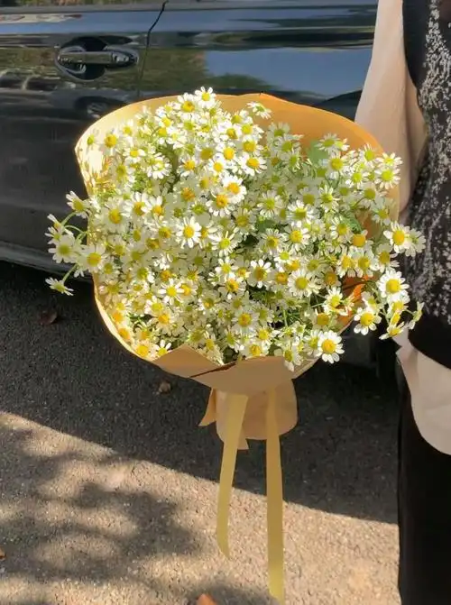 春日小雏菊花束,清新脱俗,充满生机.花材