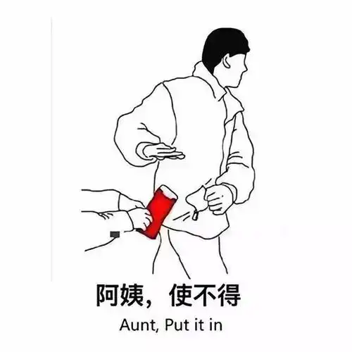 阿姨使不得(快别停)以及大家期待已久的虽然今年没有冯巩比如每年雷打