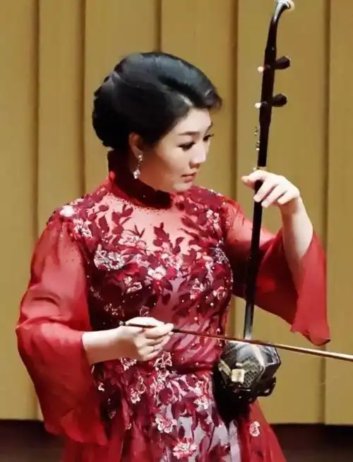 宋飞二胡独奏音乐会