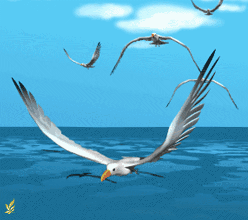 500_443gif 动态图 动图