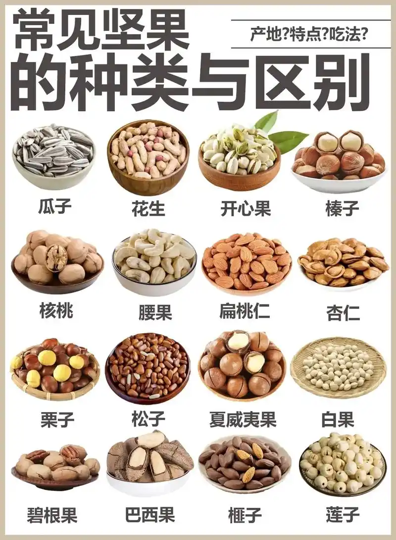 常见坚果的种类与区别.bgm—the ocean(调) #科 - 抖音