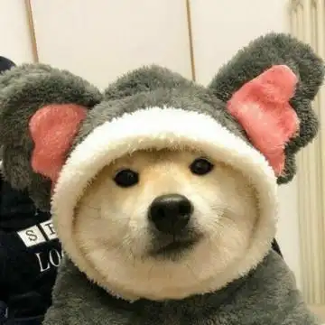 2021超萌可爱动物头像