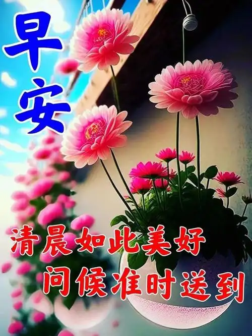 问候虽短,亲情友情满满,知道你安好,我的心便安心,祝你健康平安,早上