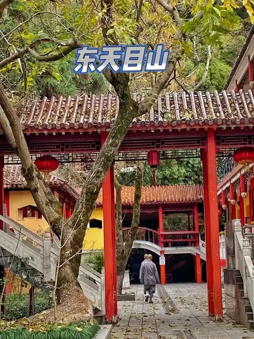 无自驾公交直达东天目山