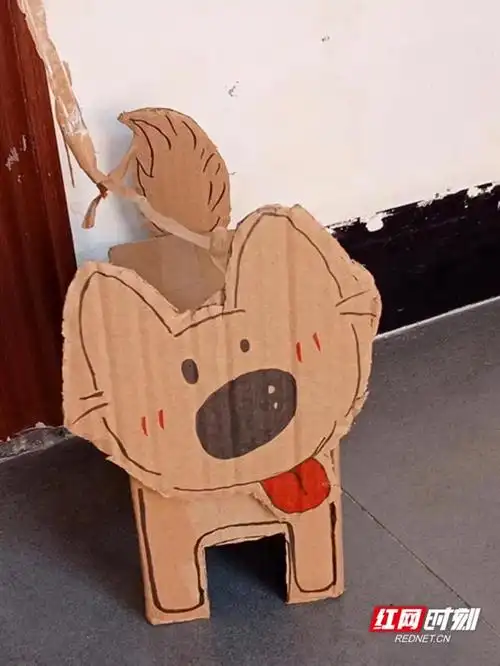 花式养"宠物" 纸箱"宠物"走红怀师校园