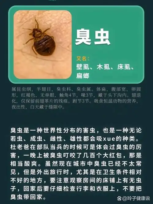 科普|家中除了蚊子外还有哪些咬人的虫子 盘点一下家庭中常见的这几种