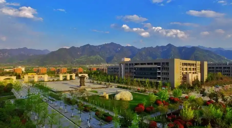 520工大青年大胆表白