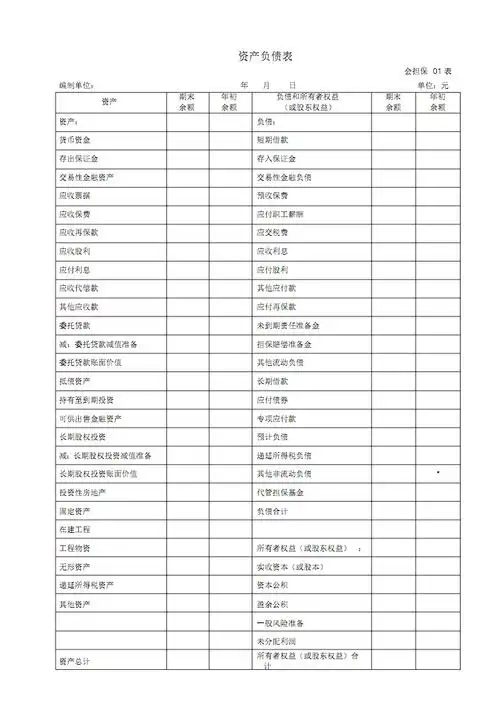 融资性担保公司财务报表.pdf