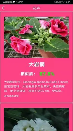 拍照识花神器手机版541