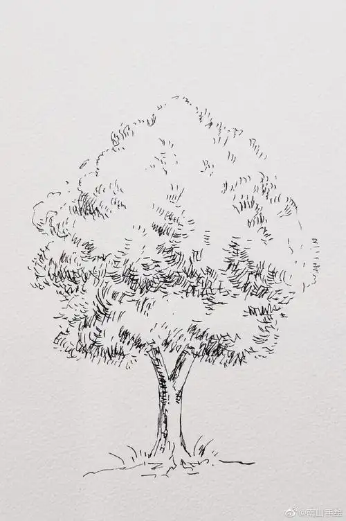 树线稿