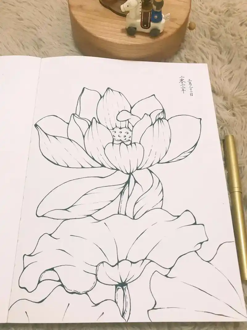 画莲1000天|第158天7715莲花简笔教程钢笔勾线 78谢谢大家的点