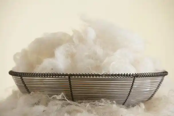 羽丝绒是什么材质?