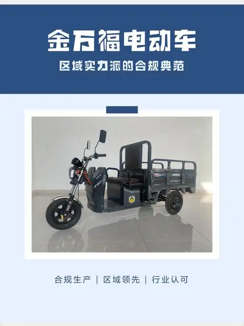 金万福电动车:区域实力派的合规典范