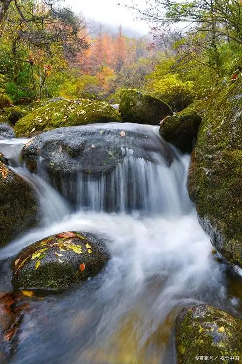 旅游景点打卡:汉中旅游攻略景点 自由行必须去的汉中风景