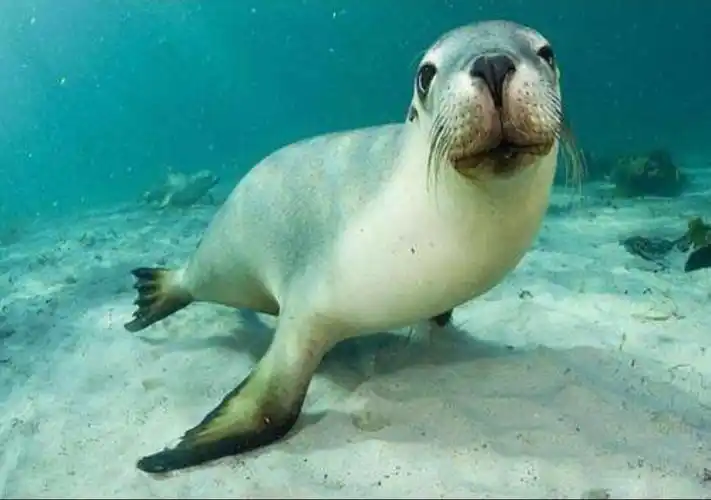 🐳🐳🐳海底动物与小朋友亲密互动 - 美篇