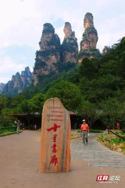 十里画廊位于张家界武陵源核心景区内部,是核心景区内的旅游精华,在长