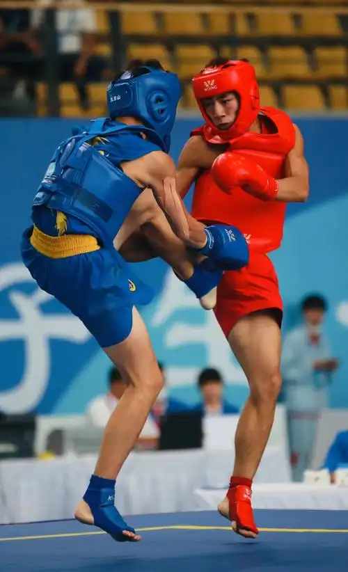 省十七运青少年组武术散打比赛收官