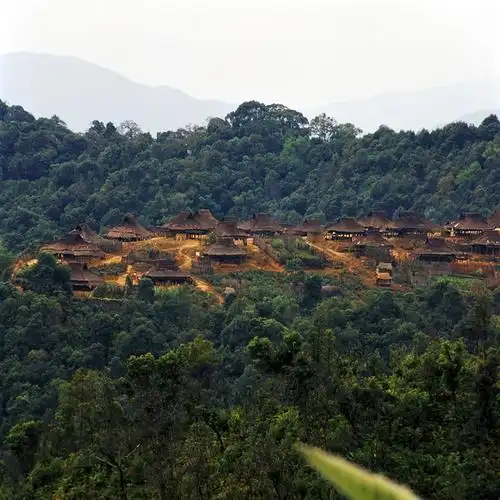 每日好茶:普洱茶名山之布朗山