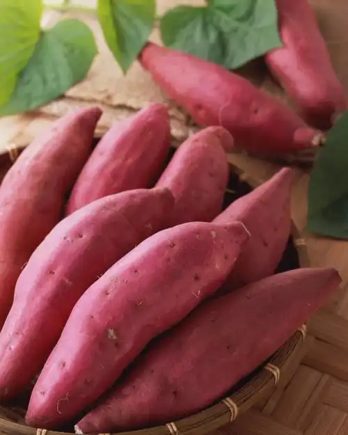 过年一定要吃这10种食物刮油解腻助消化怎么吃都不怕胖